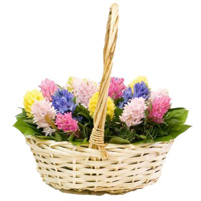 Красивая композиция с гиацинтами «Цветочное настроение»