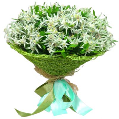 Букет из эдельвейсов «Горный бриз»